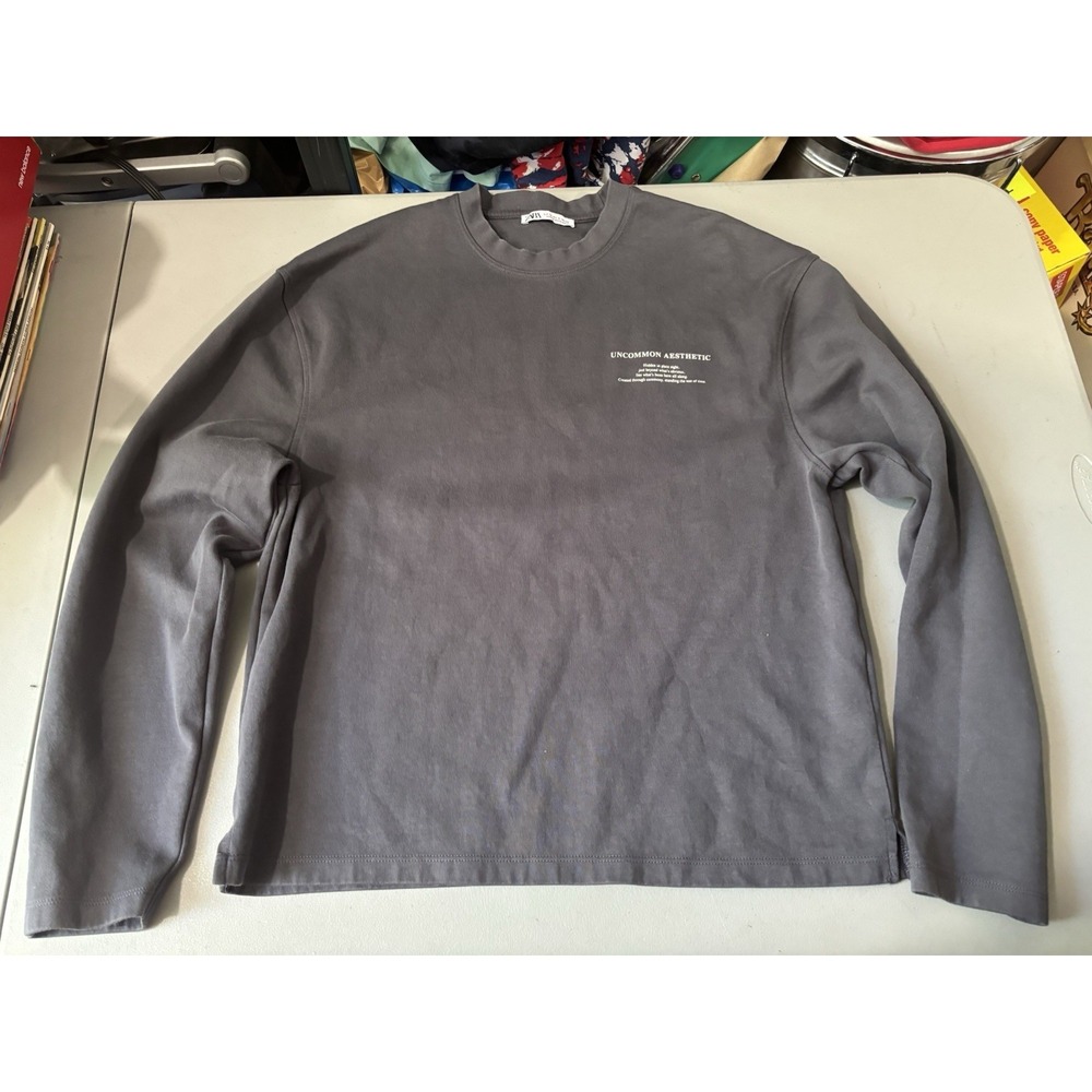 Zara Aaron Levine Gray M Sweatshirt Uncommon Aesthetic